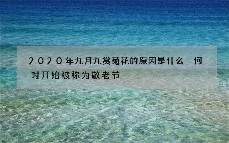 2020年九月九赏菊花的原因是什么 何时开始被称为敬老节